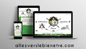 site allezverslebienetre.com